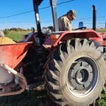 Geckofert Langfos Rock Phosphate