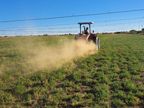 Geckofert Langfos Rock Phosphate
