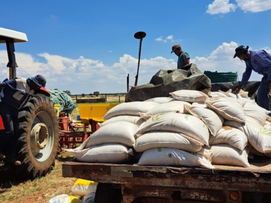Geckofert Langfos Rock Phosphate